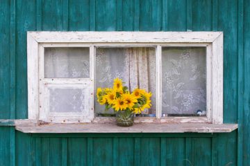 Empathy Across Borders: Building Inclusive and Connected Classrooms
