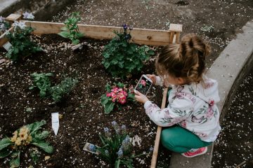 Environmental Changes for Sustainable Schools
