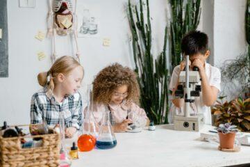 Women in STEM: How to Destroy Prejudices in Schools